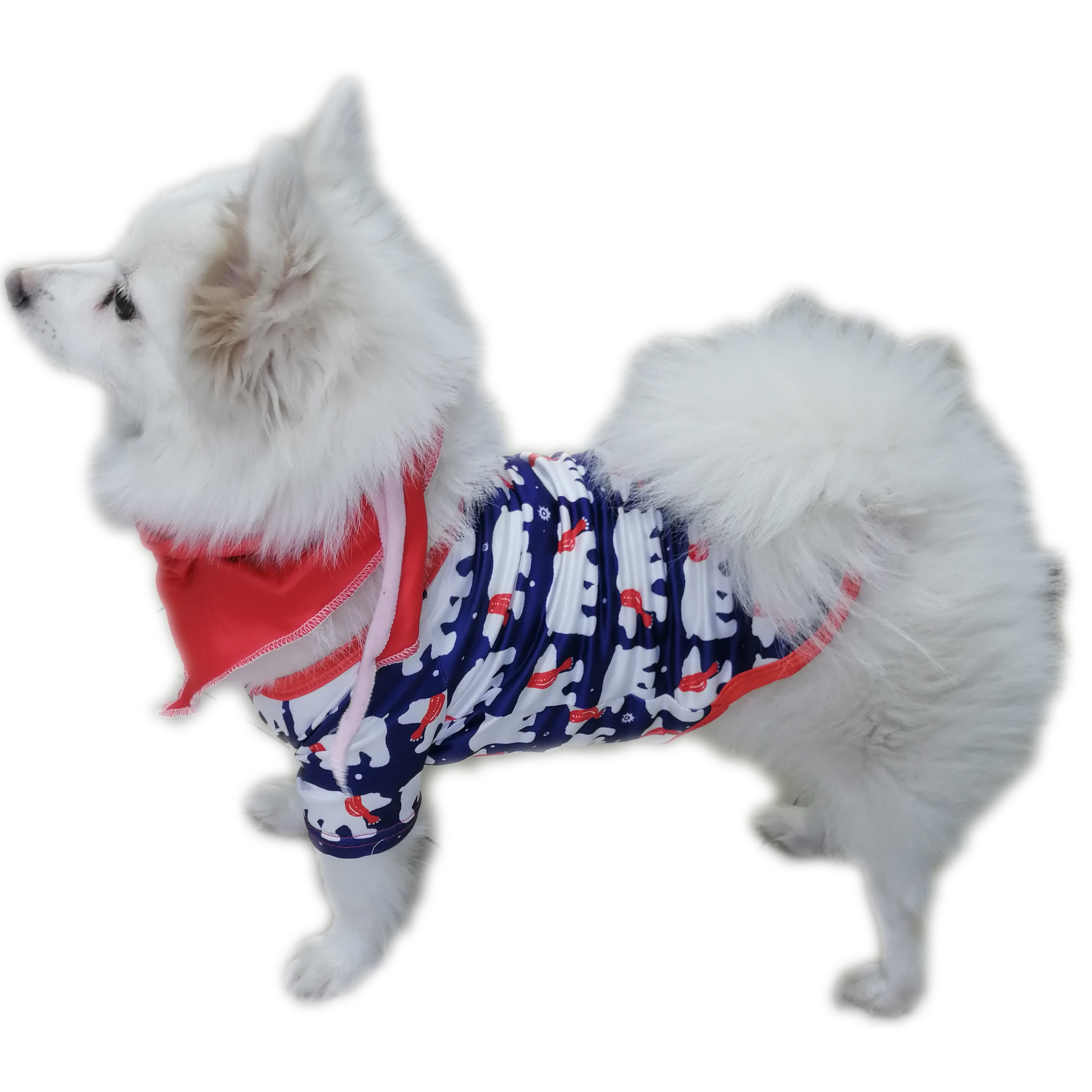 Loungewear Bear Print Christmas Family Couples Matching Pajamas Party Sets - ciclove